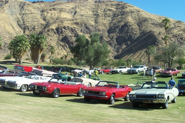 Classic cars parking in a large circle on the grass in front of palm trees with dry desert hills in the background.